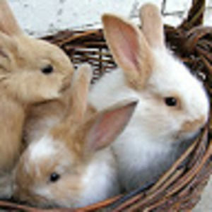 Meet your Posher, Mrs.